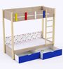 Pine Tree Bunk Bed in Oak Finish with Drawer Storage