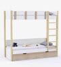 Pine Tree Bunk Bed in White Colour with Drawer Storage