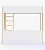 Pine Tree Bunk Bed in White Colour with Drawer Storage