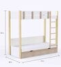 Pine Tree Bunk Bed in White Colour with Drawer Storage