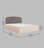Pingala  Queen Size Upholstered Bed In Oat Brown Colour & White Colour With Box Storage