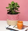 (1Pc) Pink & Beige Jute Handwoven Multipurpose Planter & Storage Basket