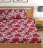 Pink 180 TC Floral Cotton Fitted Double Bedsheet 2 Pillow covers