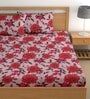 Pink 180 TC Floral Cotton Queen Double Bedsheet 2 Pillow covers