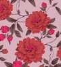 Pink 180 TC Floral Cotton Queen Double Bedsheet 2 Pillow covers