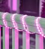 Pink 5 Mtrs Waterproof Direct Plug-In LED Rope Strip Light