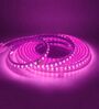 Pink 5 Mtrs Waterproof Direct Plug-In LED Rope Strip Light