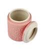 Pink 6 x 4.5 inches Handcrafted Set of 2 Storage Jars