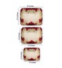 Pink Aluminium 16 Inch (Set of 3) Rectangle Appetizer Platters