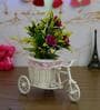 Cycle Basket White Fibre Showpiece