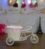 Cycle Basket White Fibre Showpiece