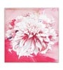 Pink Arbor Wall Art Set of 2