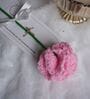 Pink Carnation Crochet Flower