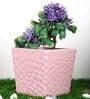 Pink Ceramic Crackle Square Shape Planter