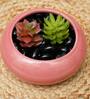 Pink Ceramic Desk Pot