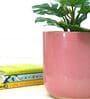 Pink Ceramic Big Planter