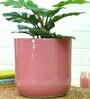 Pink Ceramic Big Planter