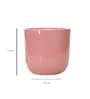 Pink Ceramic Big Planter