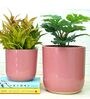 Pink Ceramic Big Planter