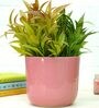 Pink Ceramic Big Planter