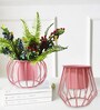 Set Of 2 Pink Metal Plant Stand