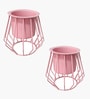 Set Of 2 Pink Metal Plant Stand