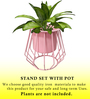 Set Of 2 Pink Metal Plant Stand