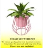 Set Of 2 Pink Metal Plant Stand