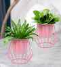 Set Of 2 Pink Metal Plant Stand