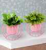 Set Of 2 Pink Metal Plant Stand