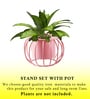Set Of 2 Pink Metal Plant Stand
