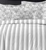 Grey Cotton Pritned 300TC Super King Bedsheet with 2 Coordinate Pillow Covers