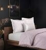 Pink Cotton 210TC Printed All Weather Double 150GSM Bedding Set 1 Comforter 1 Bedsheet 2 Pillow Covers