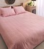 Cotton 210TC King Size Bedsheet With 2 Pillow Covers
