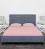 Pink Cotton Solid Finest 300TC Plain Super King Bedsheet with 2 Pillow Covers