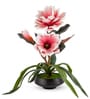 Pink Faux Leather Magnolia Serenade Arrangement Pot With Flower