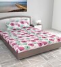 Pink Floral 144 TC Cotton King Size Bedsheet With 2 Pillow Covers