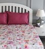 Pink Floral 180 TC Cotton King Sized Bed Sheets with 2 Pillow Covers
