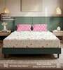 Pink Floral 200 TC Microfiber Double Bedsheet with 2 Pillow Covers