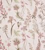 Pink Floral 210TC 100% Cotton Printed Flat Super King Bedsheet With 2 Pillow Covers
