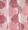 Pink Floral Polyester 5Ft Semisheer Eyelet Window Curtains (Set Of 2)