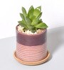 Pink Hand Made Ceramic Pot & Base Plate