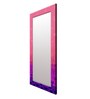 Pink Engineered Wood Professional Full Length Mirror