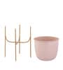 Pink Metal Desk Planter Set of 1