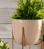 Pink Metal Desk Planter Set of 1