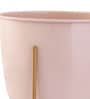 Pink Metal Desk Planter Set of 1