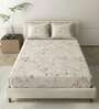 Pink Metro 186 TC Cotton Double Bedsheet With 2 Pillow Covers