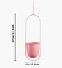 (1Pc) Pink Hanging Metal Plant Stand
