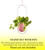 (1Pc) Pink Hanging Metal Plant Stand