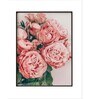 Pink Peonies Painting